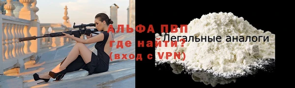 индика Алексин