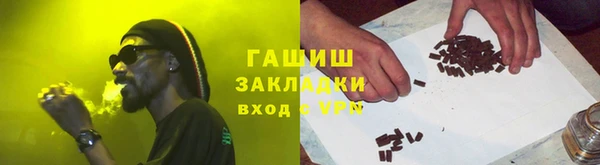 гидра Горняк
