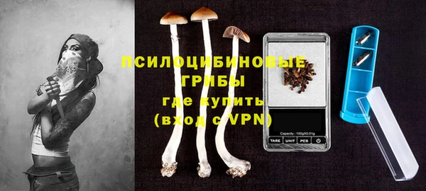 гашик Дмитровск