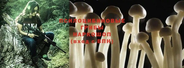 трава Абдулино