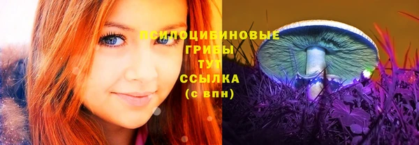 индика Алексин