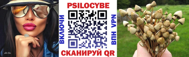 Галлюциногенные грибы прущие грибы  цена   ссылка на мегу ССЫЛКА  Болотное 